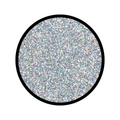 Holographic Silver Glitter Makeup