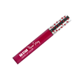 Very Berry Smudge Proof Lip Paint
